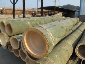 moso bamboo , mao bamboo, china bamboo products, bamboo panel, bamboo crafts, bambaoo furnitures